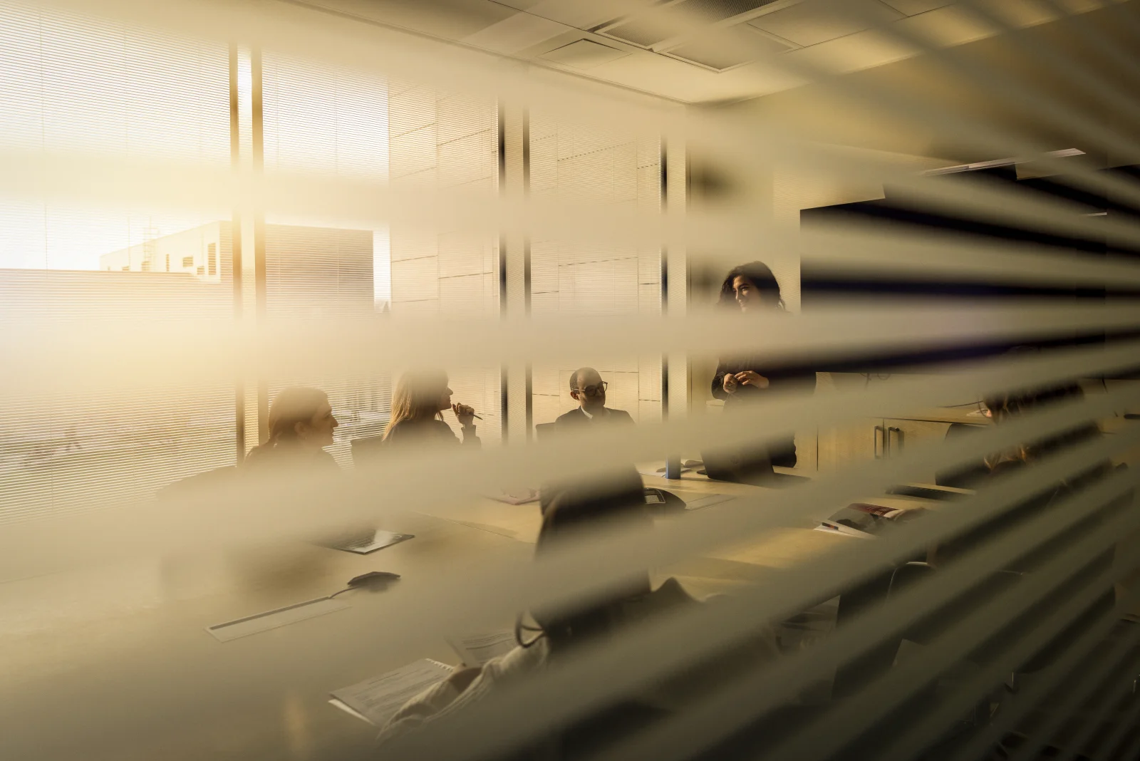 Humanitas University