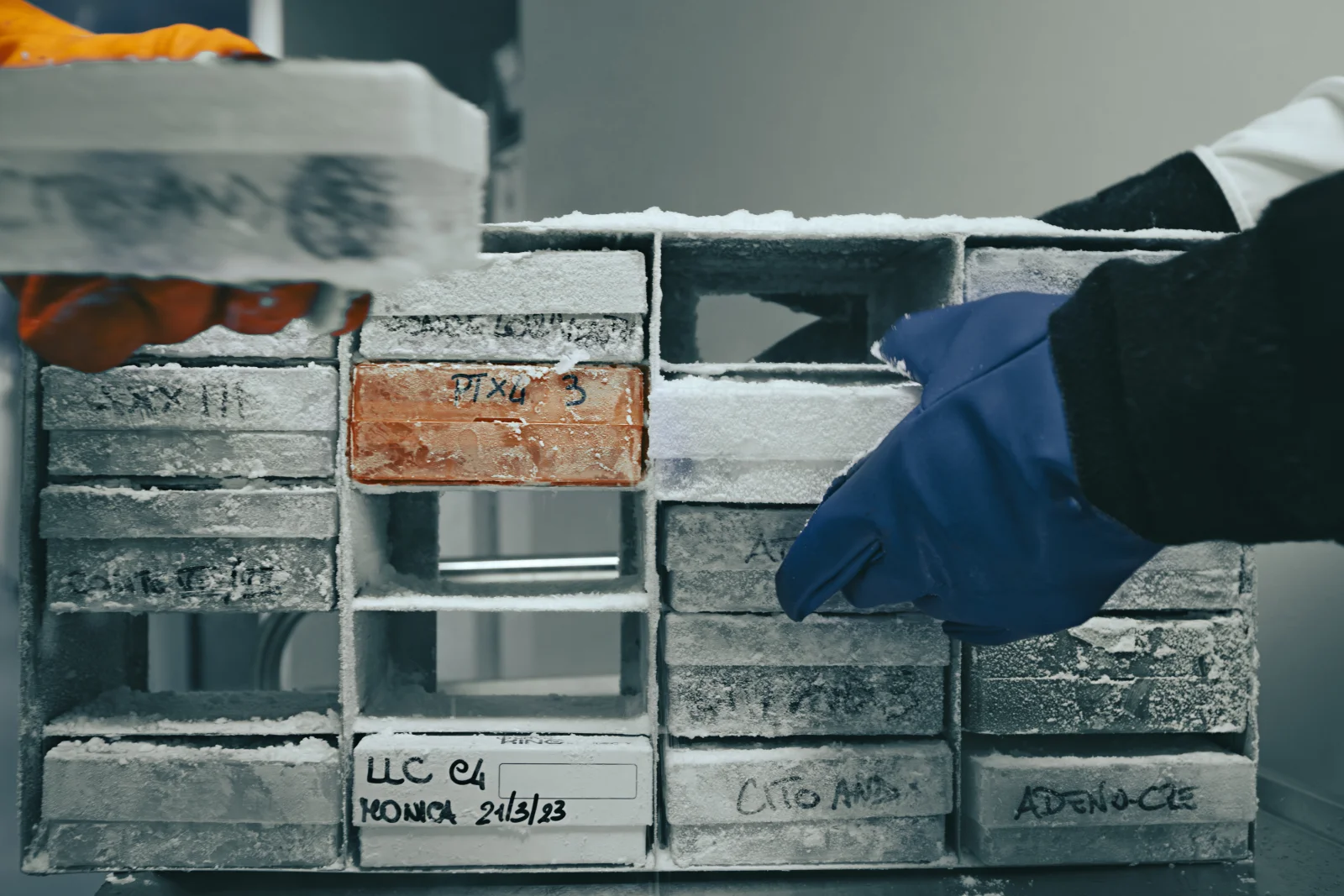 Humanitas Research Hospital